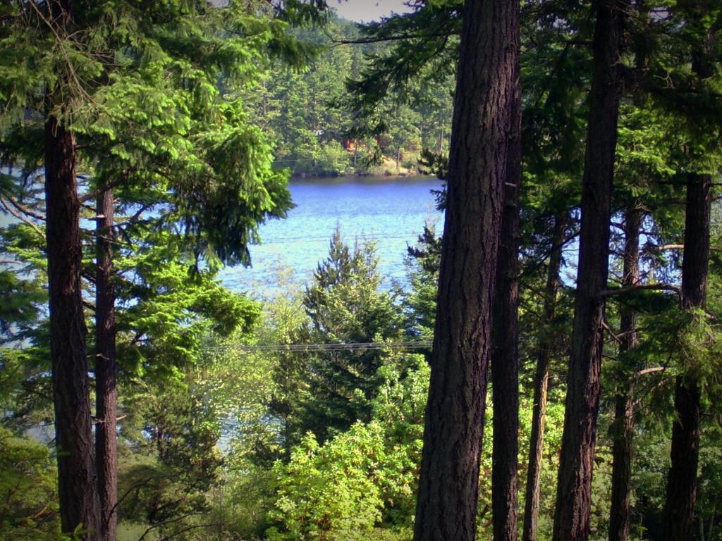 Inn To The Woods Friday Harbor Exterior photo